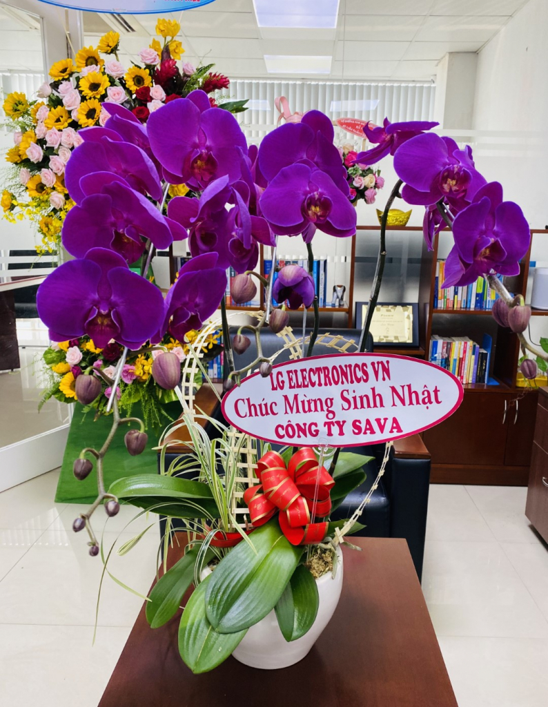 Sinh nhat SAVA ME 10 tuoi 034944622 iOS