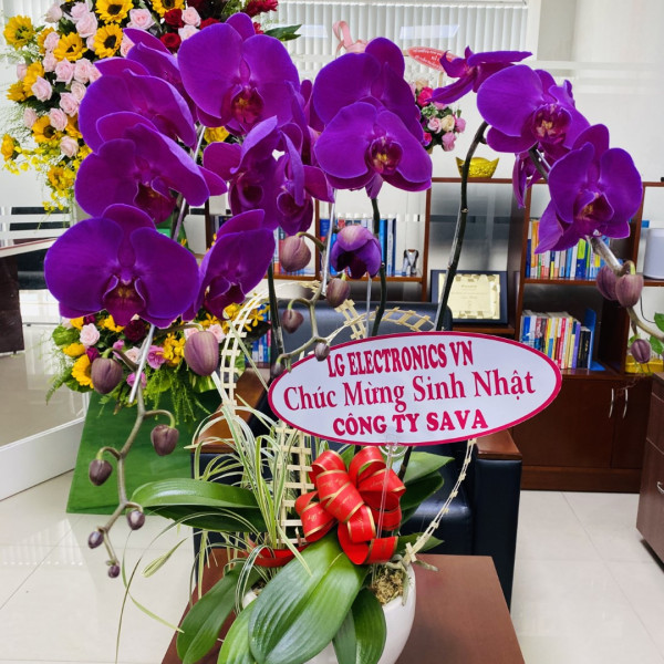 Sinh nhật SAVA M&E tròn 10 tuổi 2019