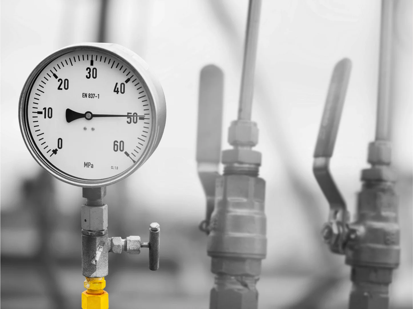 Gauge for web page - SAVA M&E